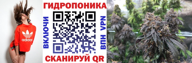 Купить где  Печоры  Бошки Шишки план 